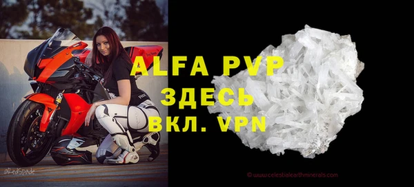 индика Арсеньев