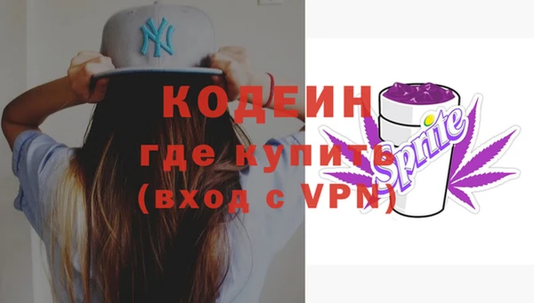 индика Арсеньев