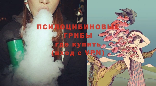 дживик Михайловка