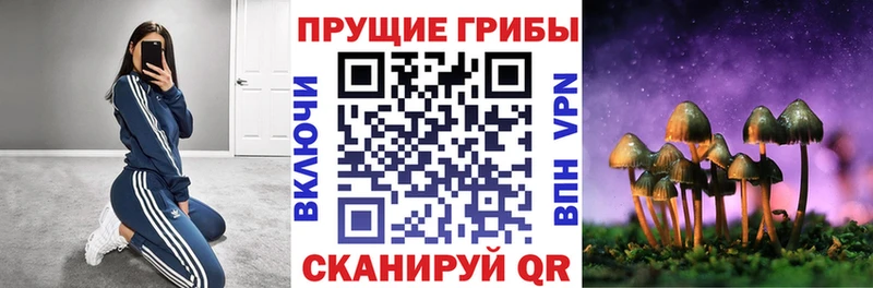 hydra   сайты даркнета формула  Псилоцибиновые грибы GOLDEN TEACHER  как найти наркотики  Шлиссельбург 